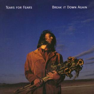 Tears for Fears Break It Down Again