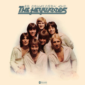 Who Do You Think You Are by Bo Donaldson and The Heywoods