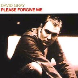 Mr. Romance’s Love Song of the Day – Please Forgive Me by David Gray  